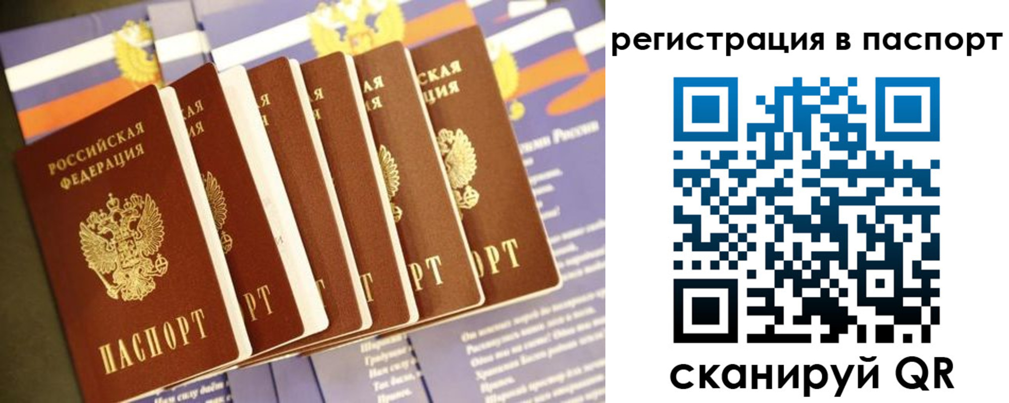 прописка ребенка в Кудрово